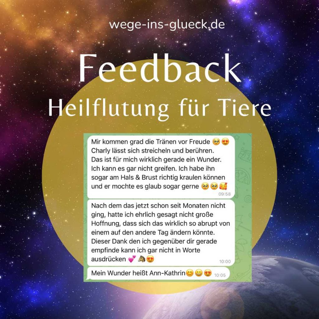 Feedback Tierkommunikation